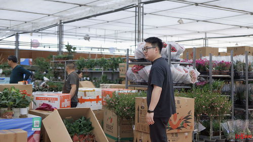 花二代的幸福期盼 借世园会东风，让鲜花绿植绽放全球